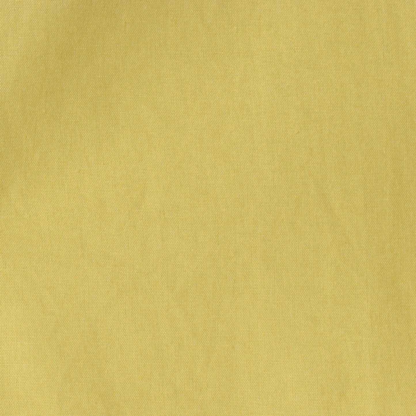 綿麻スキッパーブラウス 80242108