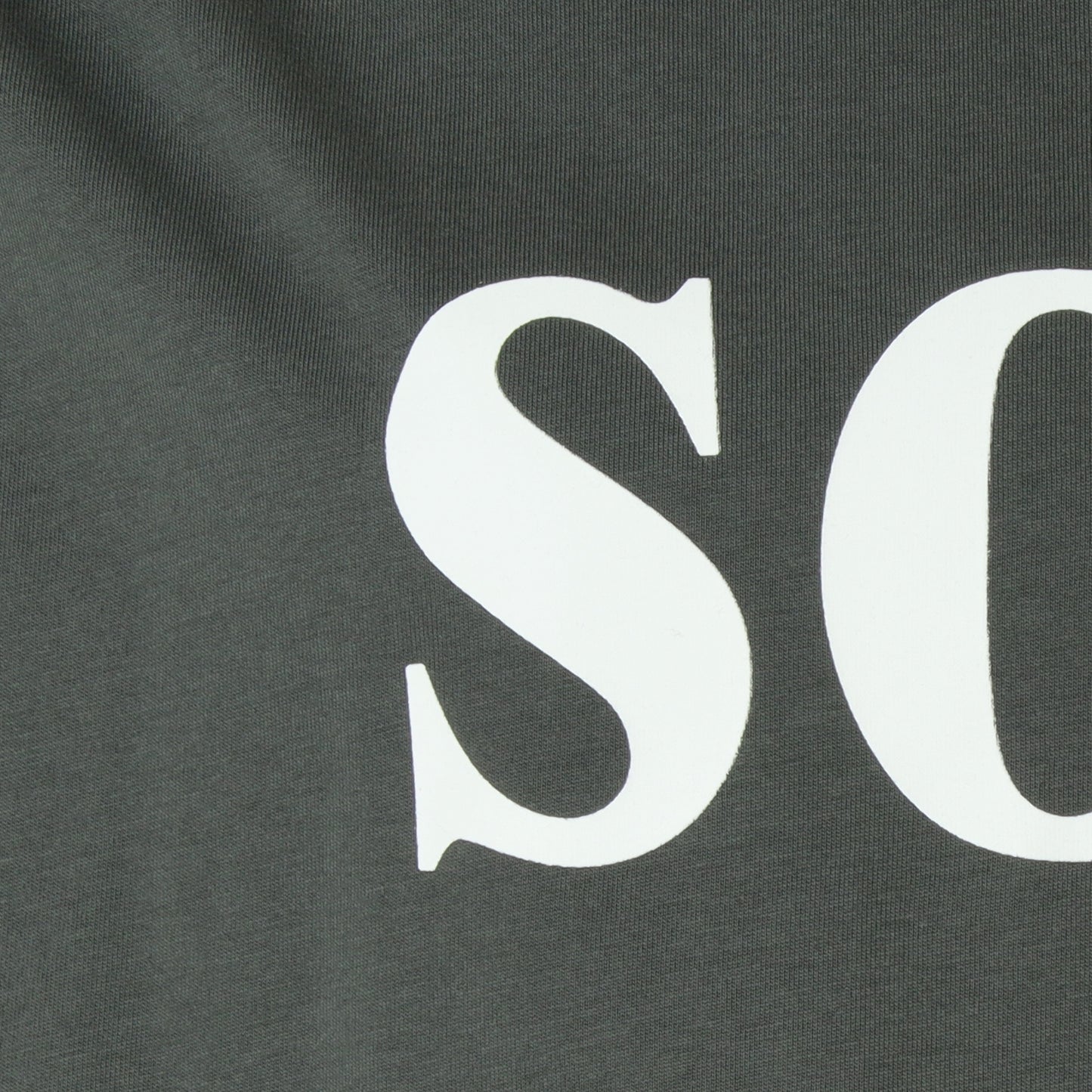ビッグロゴワイドTシャツ 80255049