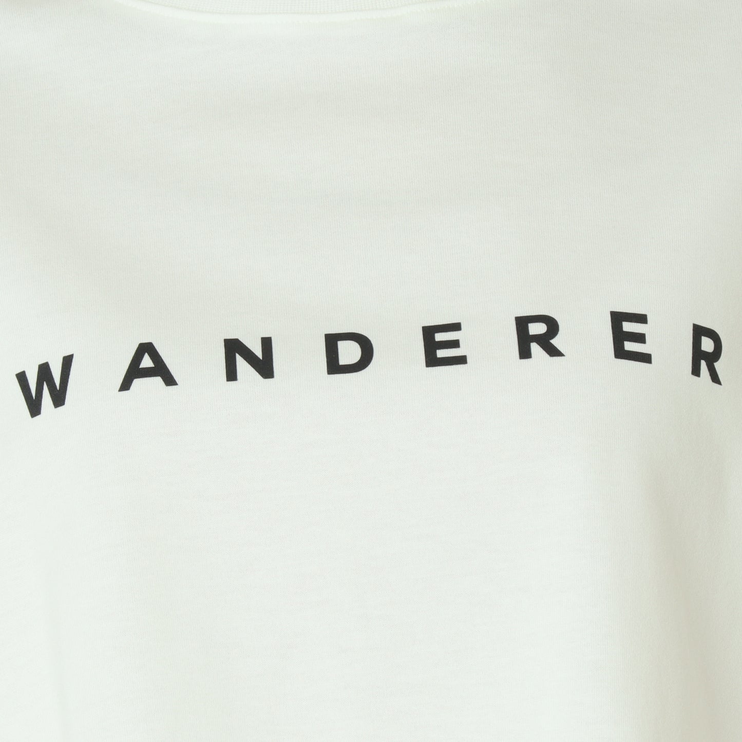 クロップド丈ロゴTシャツ55025614