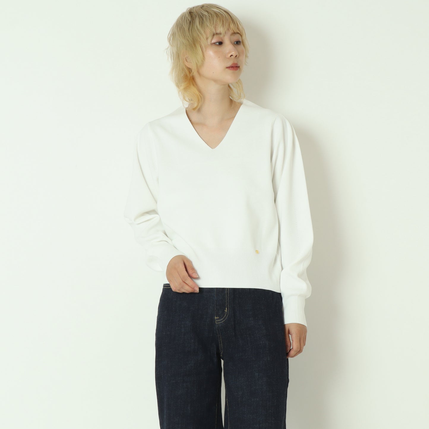 エリートストレッチVネックニット 80256101