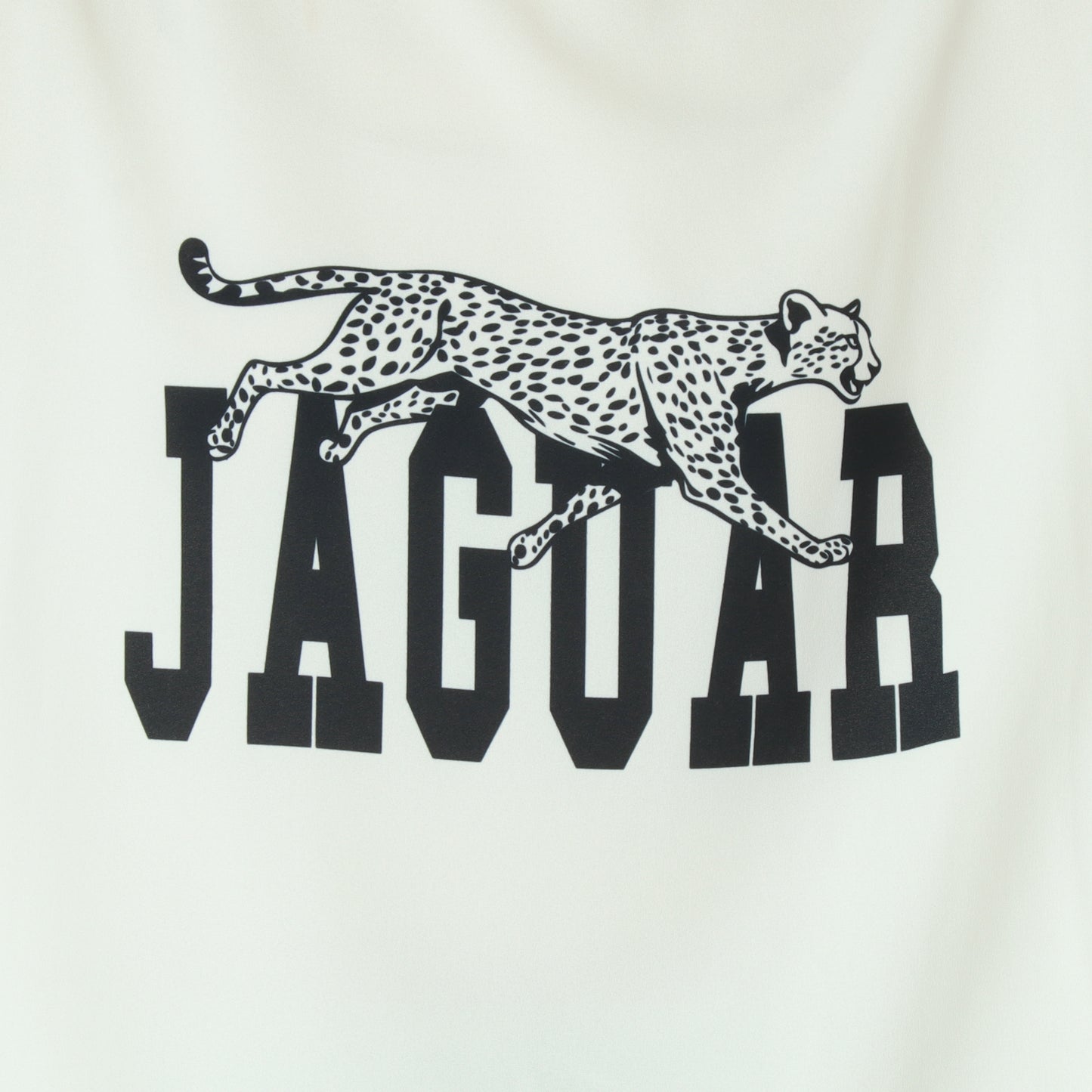 JAGUARデザインシアーロンT MGCT-25080-A