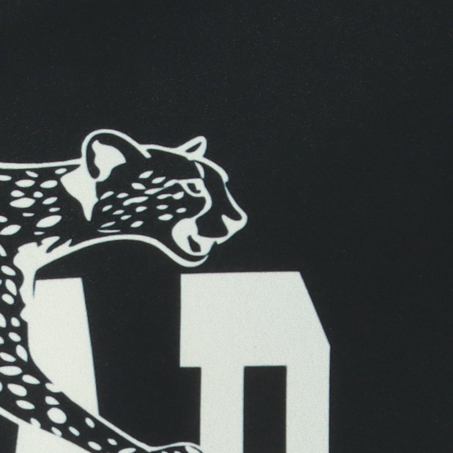 JAGUARデザインシアーロンT MGCT-25080-A