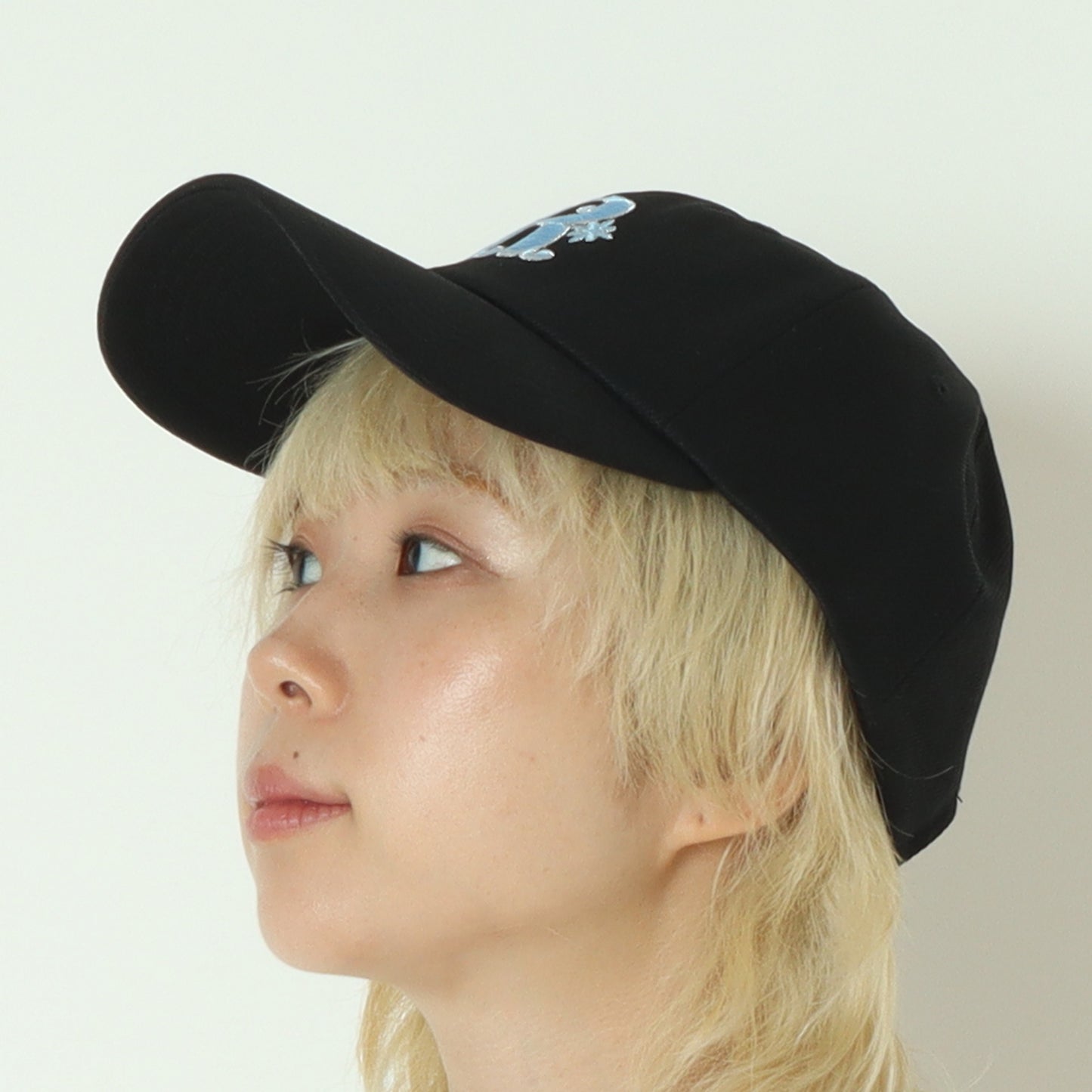 ロゴキャップ  252-110702
