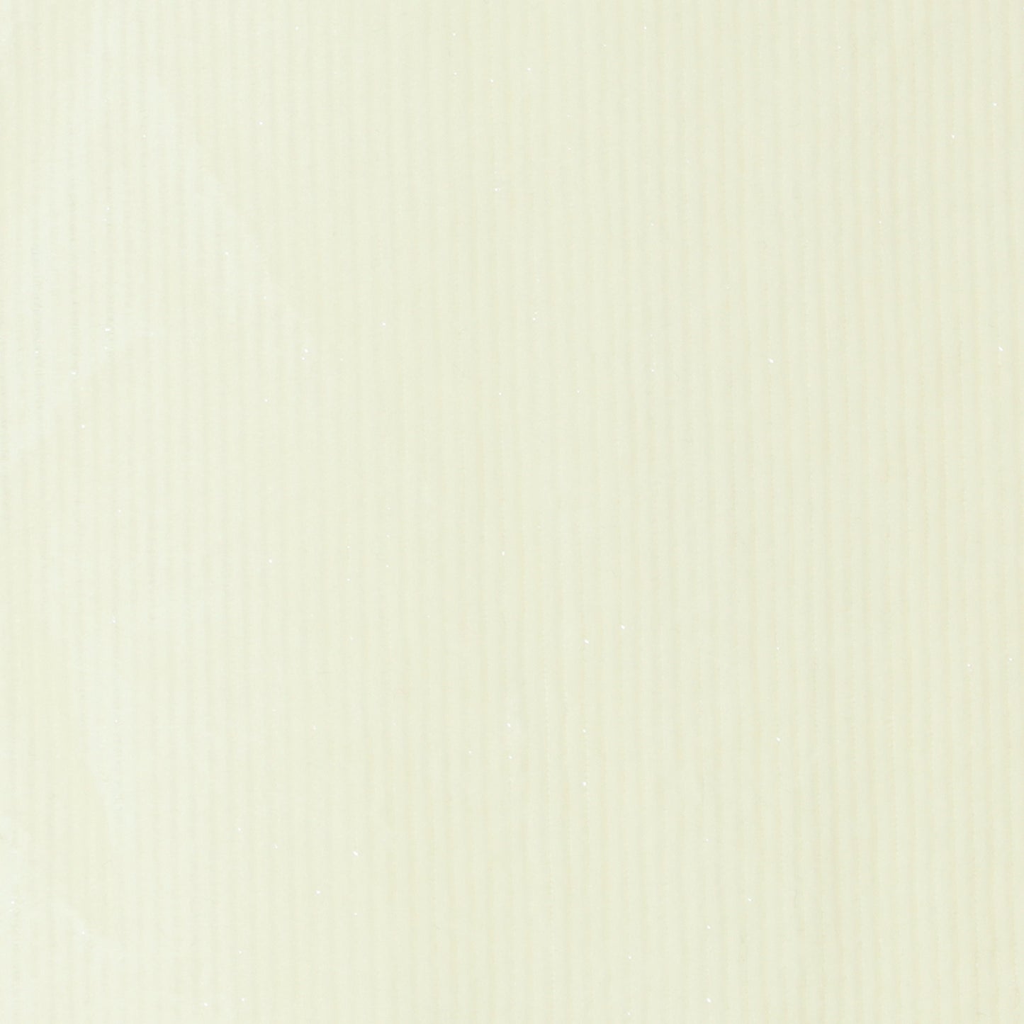 ラメコーデュロイロングスカート  8921027