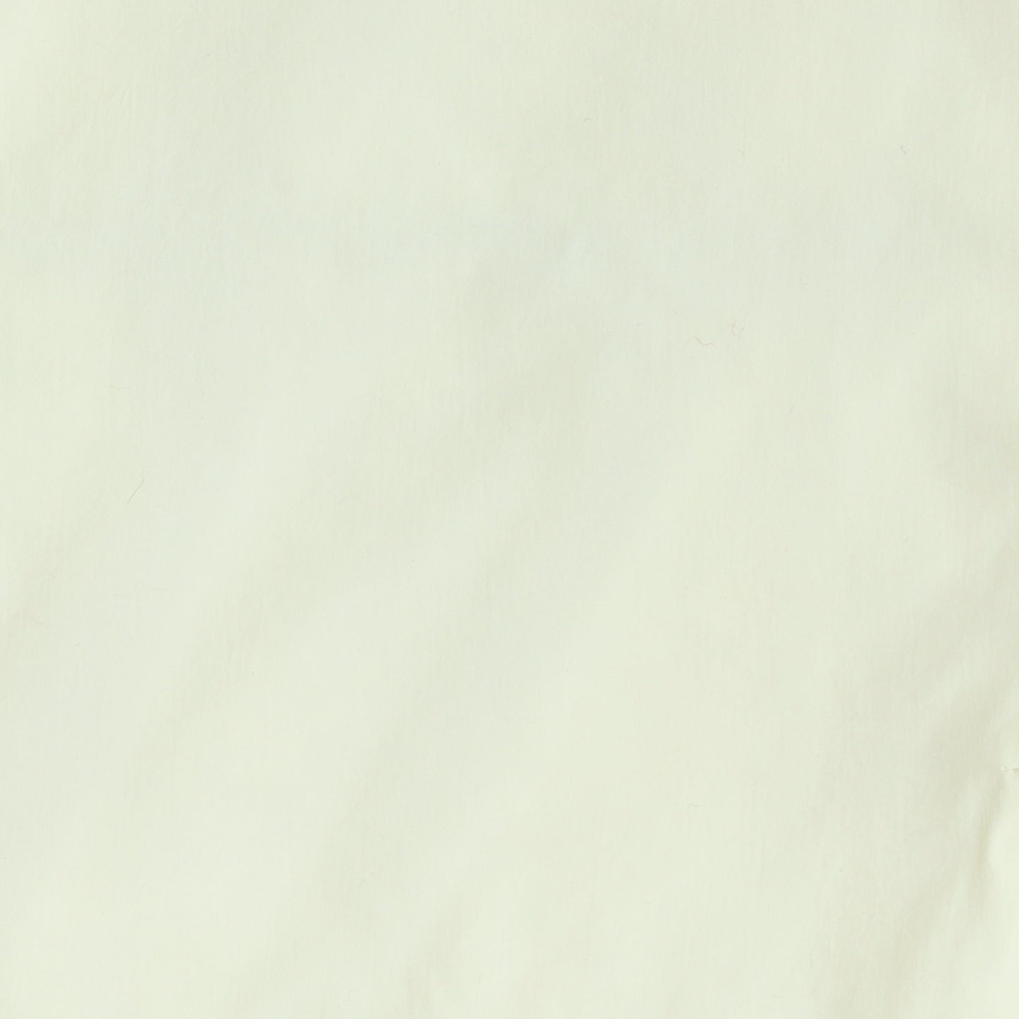 マイクロタフタパフカラーダウンジャケット 8559102