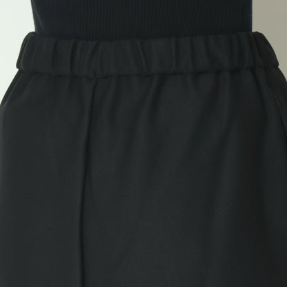 マイクロベロアIラインスカート  7551301