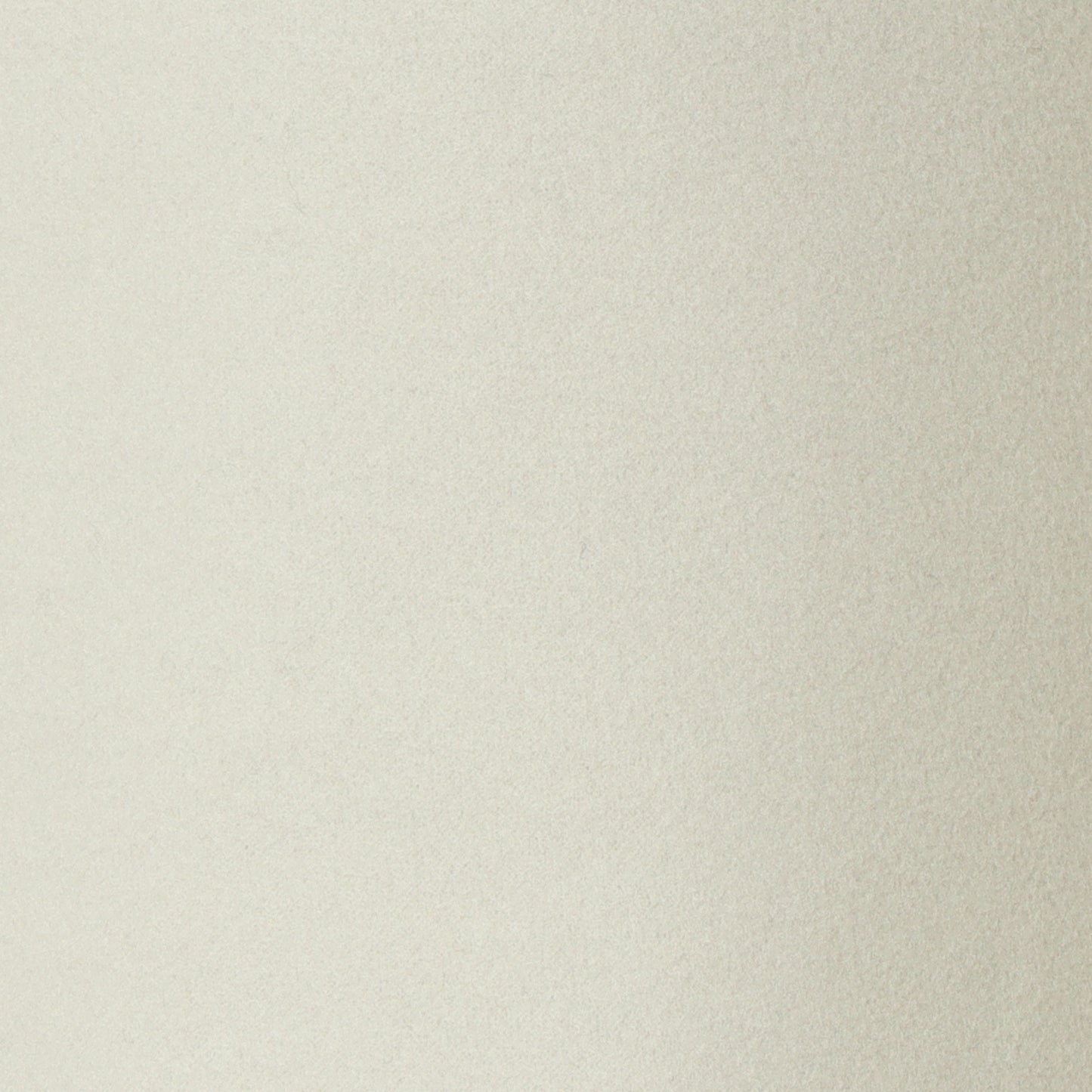 ウールレットワイドパンツ  55096500