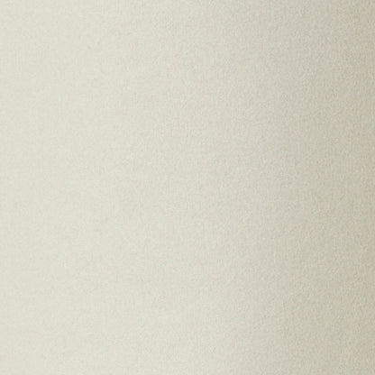 ウールレットワイドパンツ  55096500