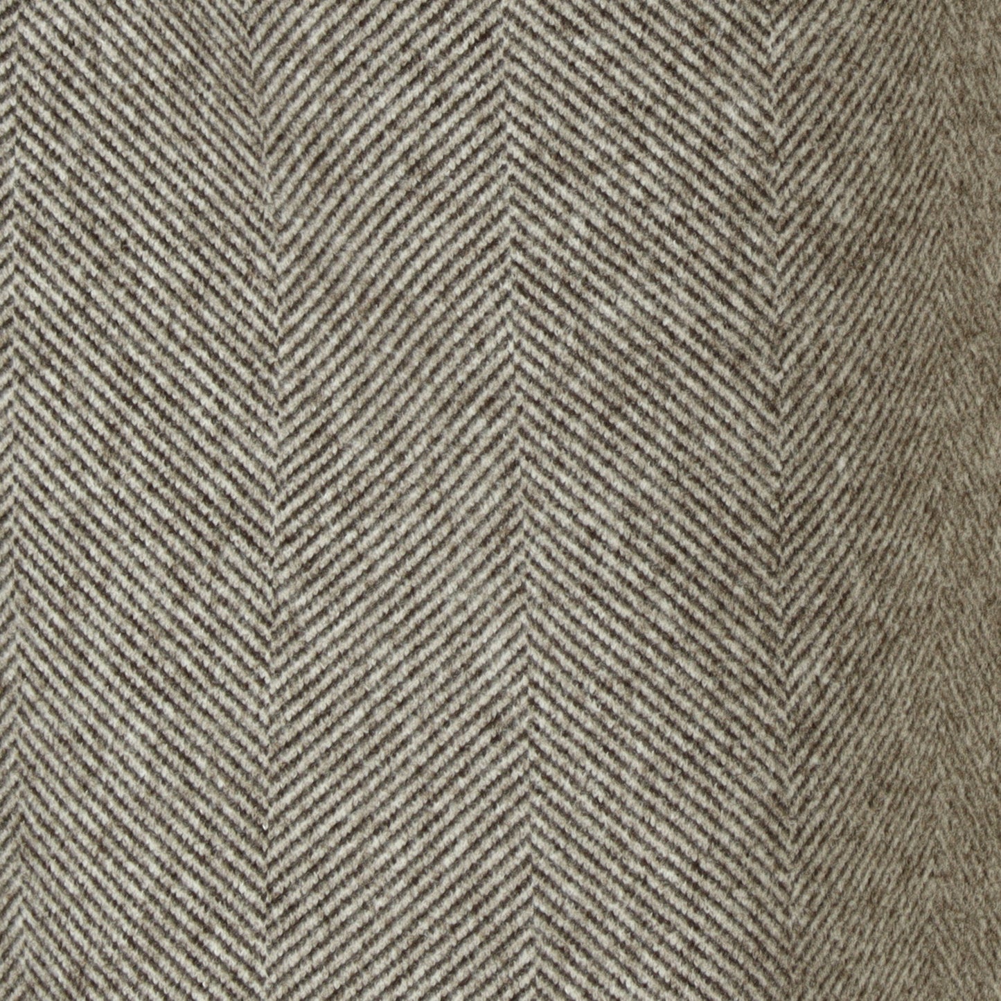 ウールレットワイドパンツ  55096502