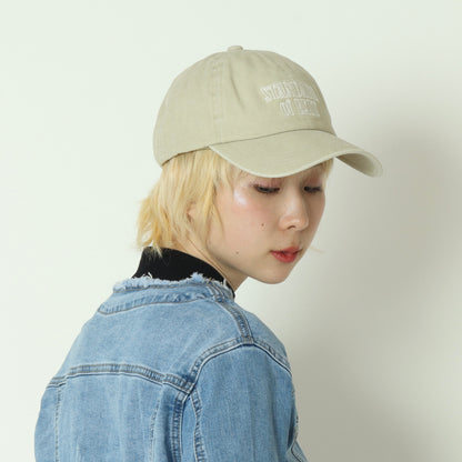 ピグメントキャップ  254-120703