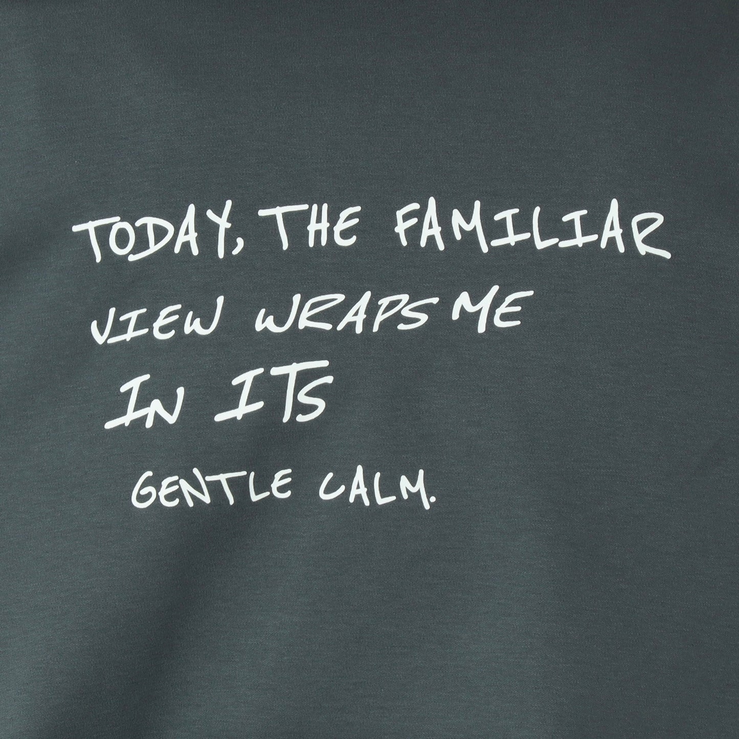 2way長袖プリントTシャツ　80256502