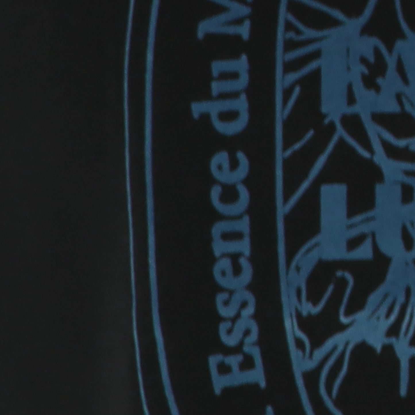 フロッキープリントTシャツ　80268324