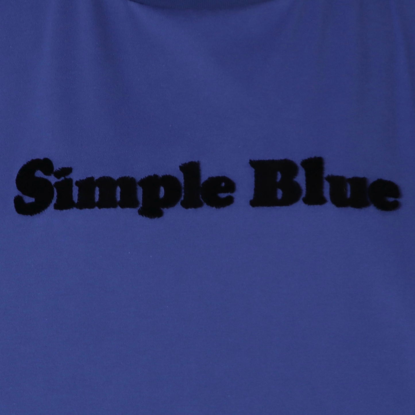 ベロアロゴコットンTシャツ　621904