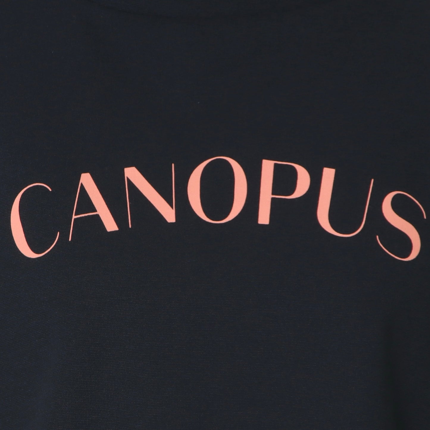 ナチュラルジャージーコクーンロゴTシャツ　61025197