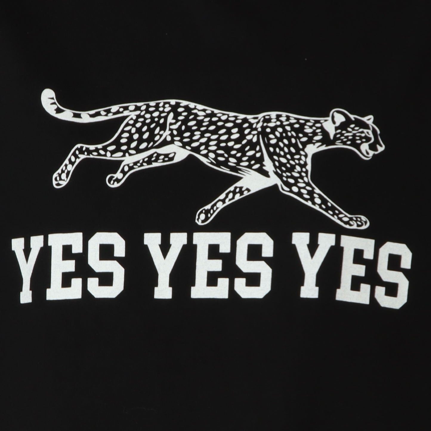 JAGUARデザインTシャツ　MGCT-26034-S