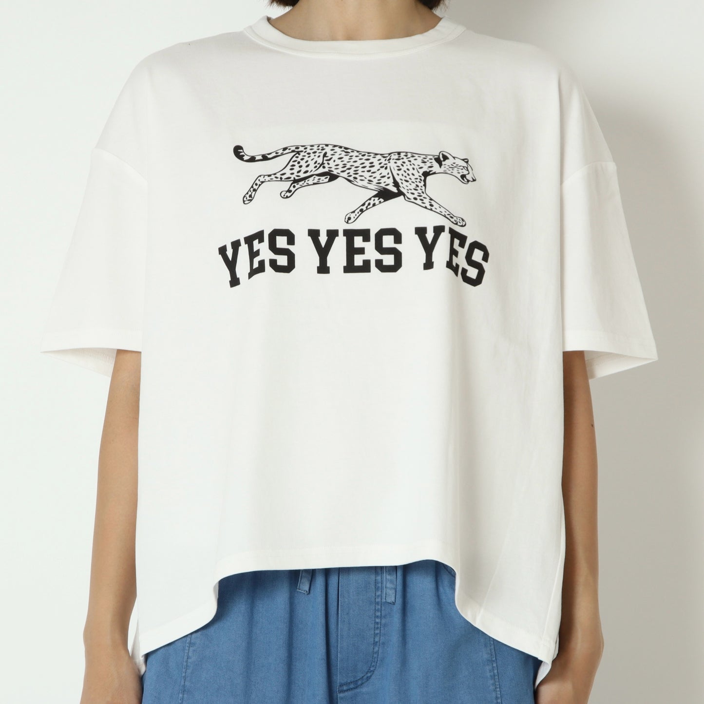 JAGUARデザインTシャツ　MGCT-26034-S
