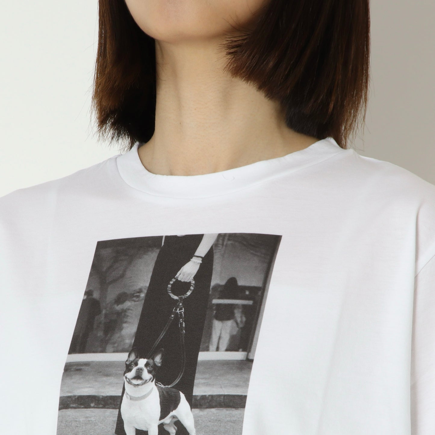 ブルドックTシャツ　853203