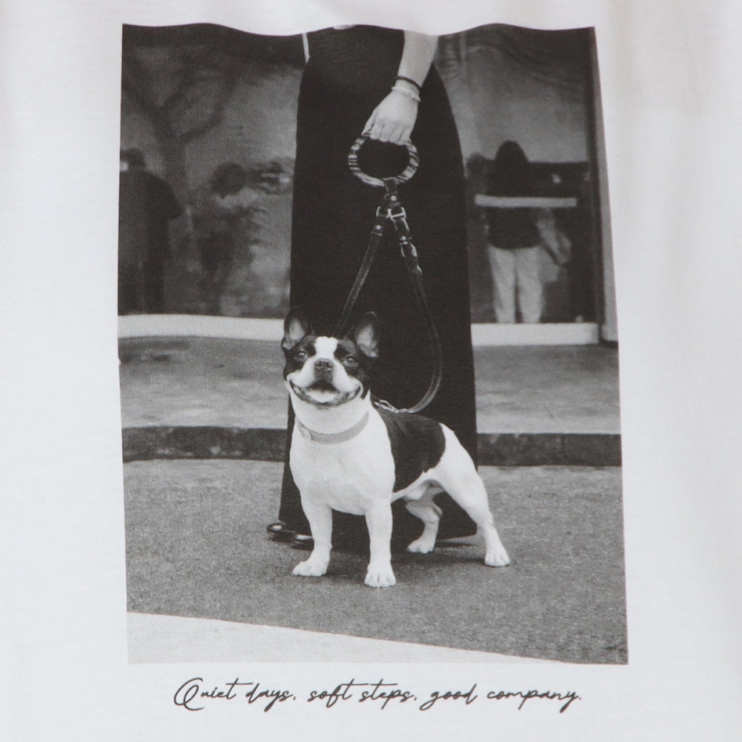 ブルドックTシャツ　853203
