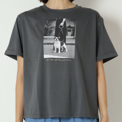 ブルドックTシャツ　853203
