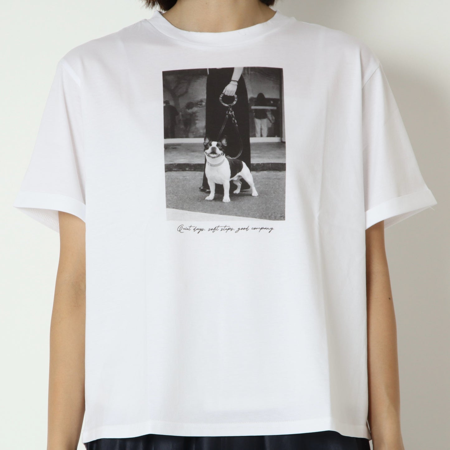ブルドックTシャツ　853203