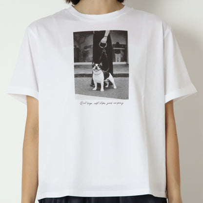 ブルドックTシャツ　853203