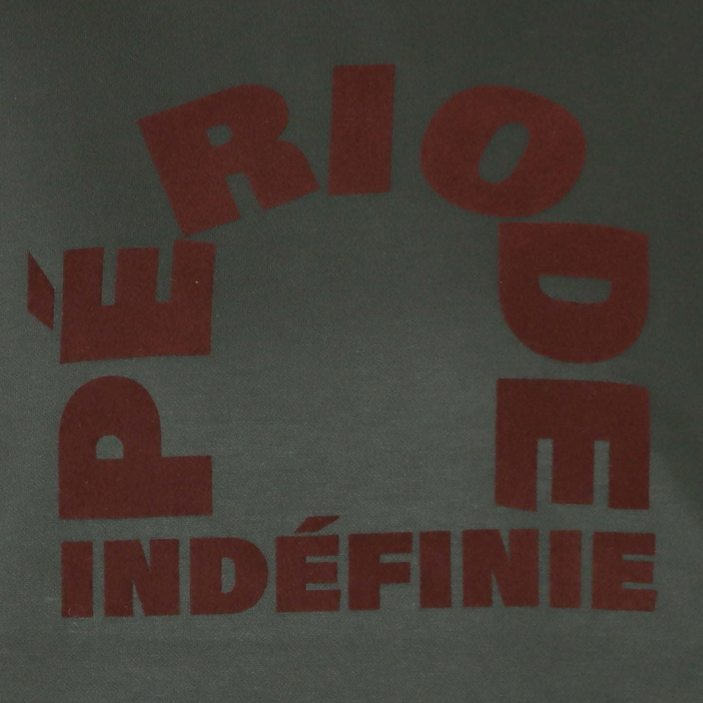 フロッキーロゴダンボールTシャツ　600103