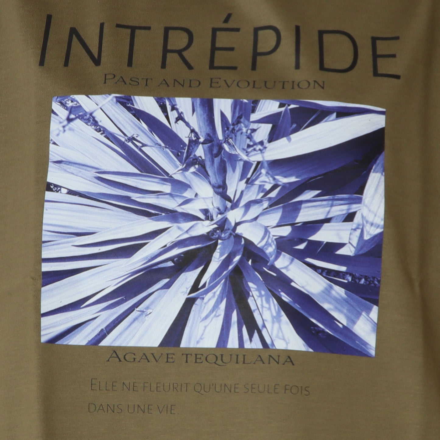 フォトプリントTシャツ　621104