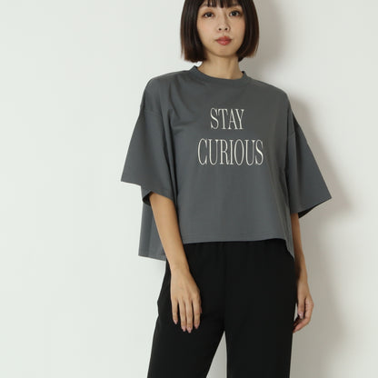 ビックロゴオーバーTシャツ 80269752