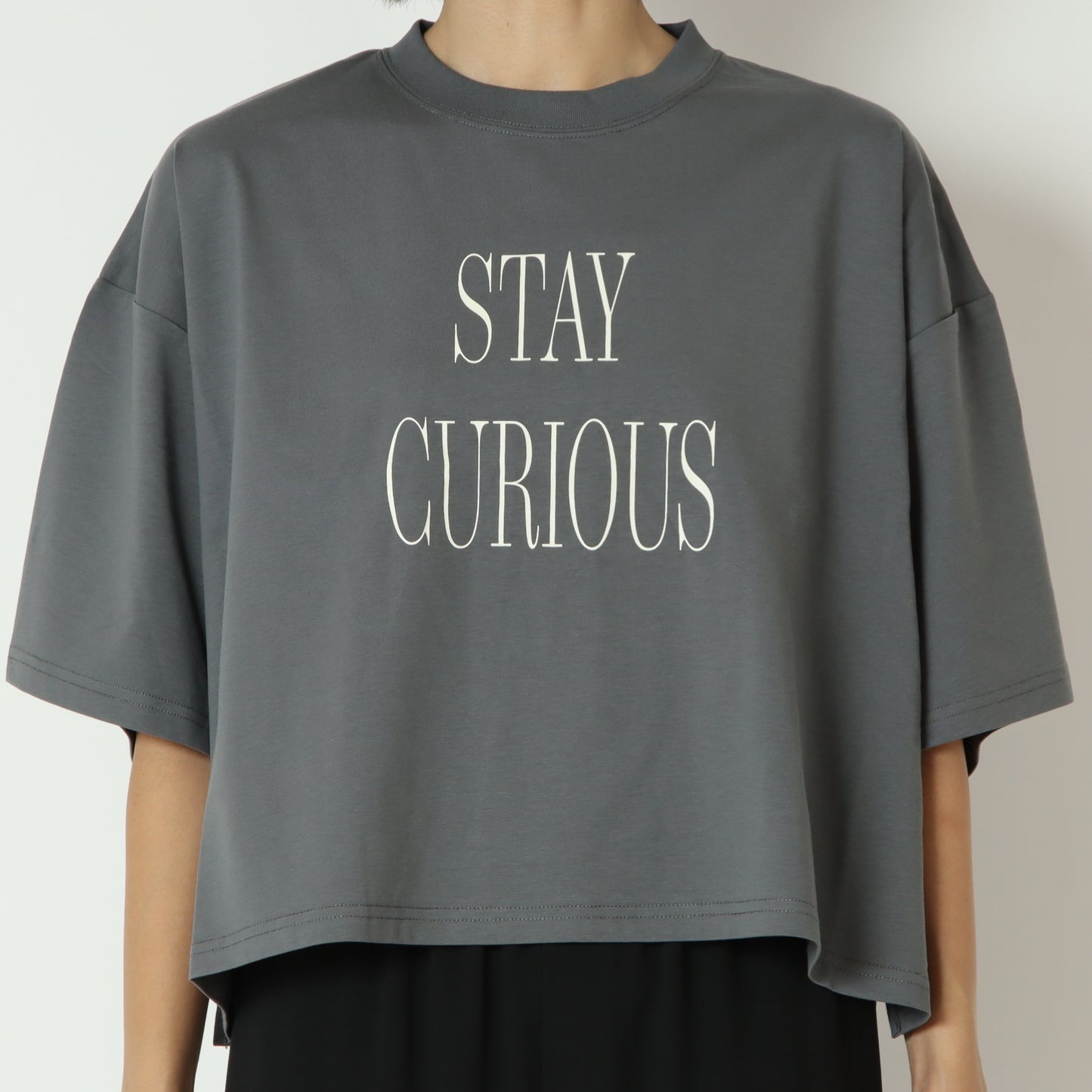 ビックロゴオーバーTシャツ 80269752