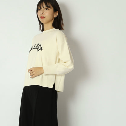 アーチロゴニット　65225566