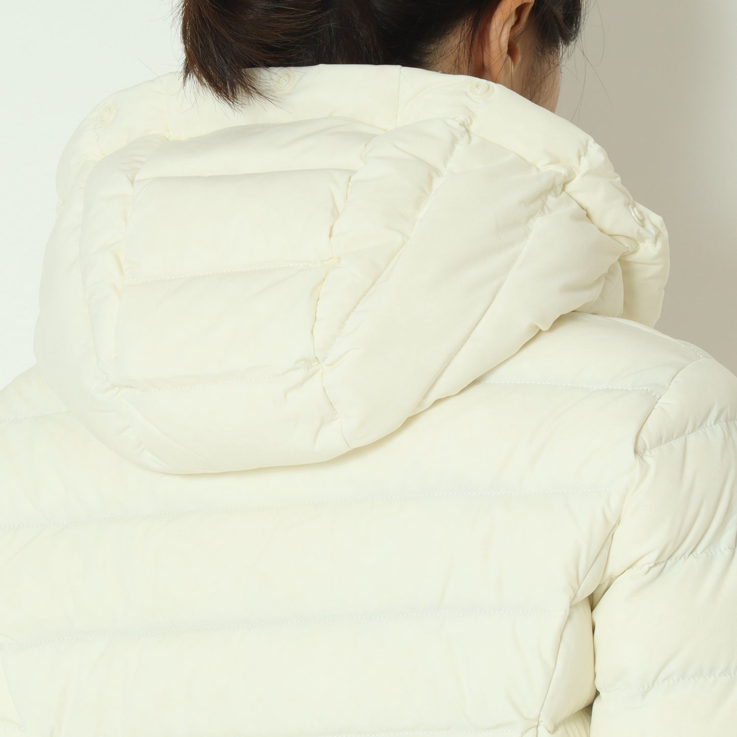 CAPEHORN B2576 SALTA MURMASKY